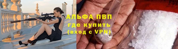 стаф Верхний Тагил