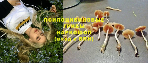мяу мяу кристалл Верея